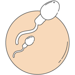 Fertility-Support