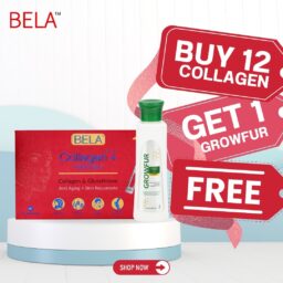 Buy 12 Get Shampoo Free